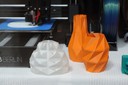 ◦ Makeria Make-Germany_3D Druck. Vasen dünnwandig. front_Ph typiconia_2016.JPG