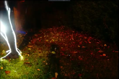 Deyhle, Blanka_Phantasien der Nacht_Lichtanimation_2016_Laubboden.png Deyhle, Blanka_Phantasien der Nacht_Lichtanimation_2016_Laubboden.png