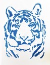 Tiger. Stencil_Acrylfarbe_Tobias Buchner_9a.jpg